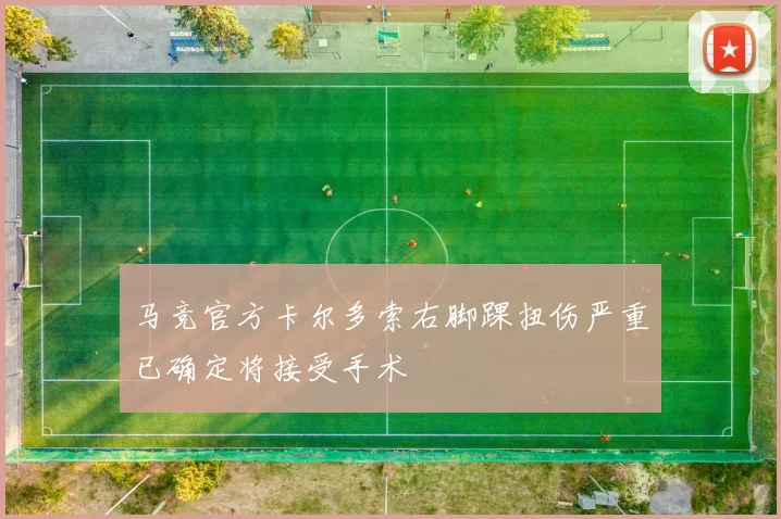 马竞官方卡尔多索右脚踝扭伤严重已确定将接受手术