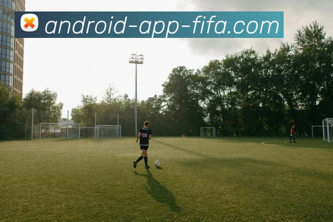 App Interface Preview